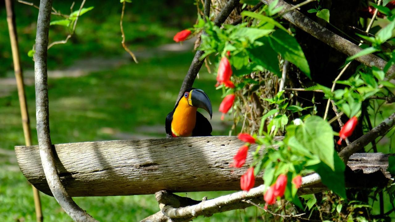 Pousada Salve Floresta Tapirai Luaran gambar