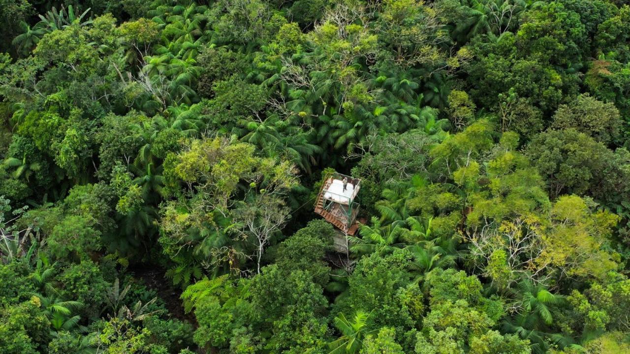 Pousada Salve Floresta Tapirai Luaran gambar