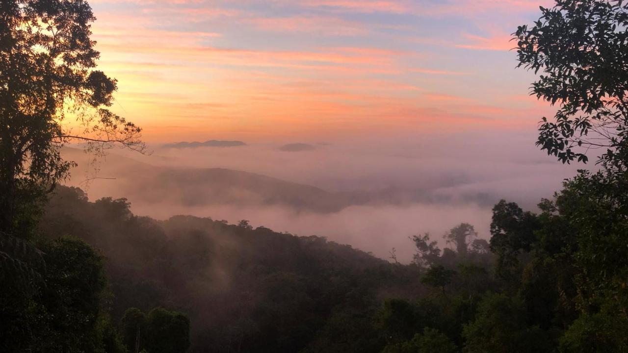 Pousada Salve Floresta Tapirai Luaran gambar