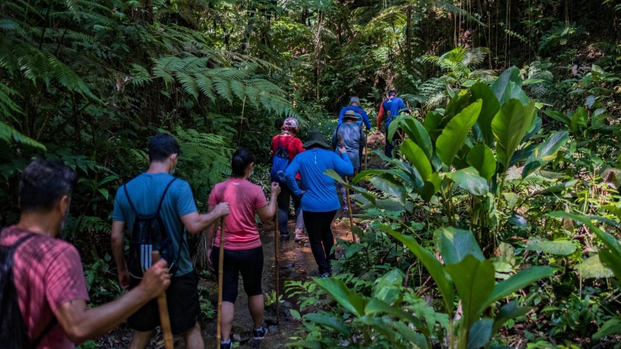Pousada Salve Floresta Tapirai Luaran gambar